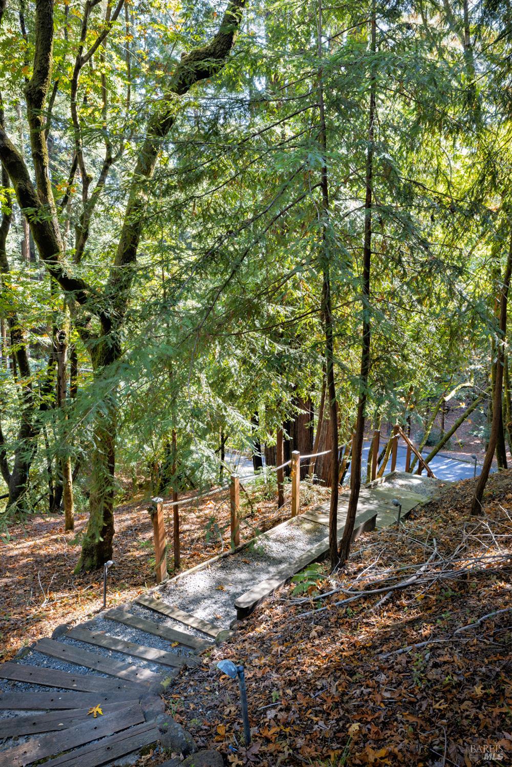 Detail Gallery Image 30 of 53 For 221 S Ridgewood Rd, Kentfield,  CA 94904 - 4 Beds | 3/1 Baths
