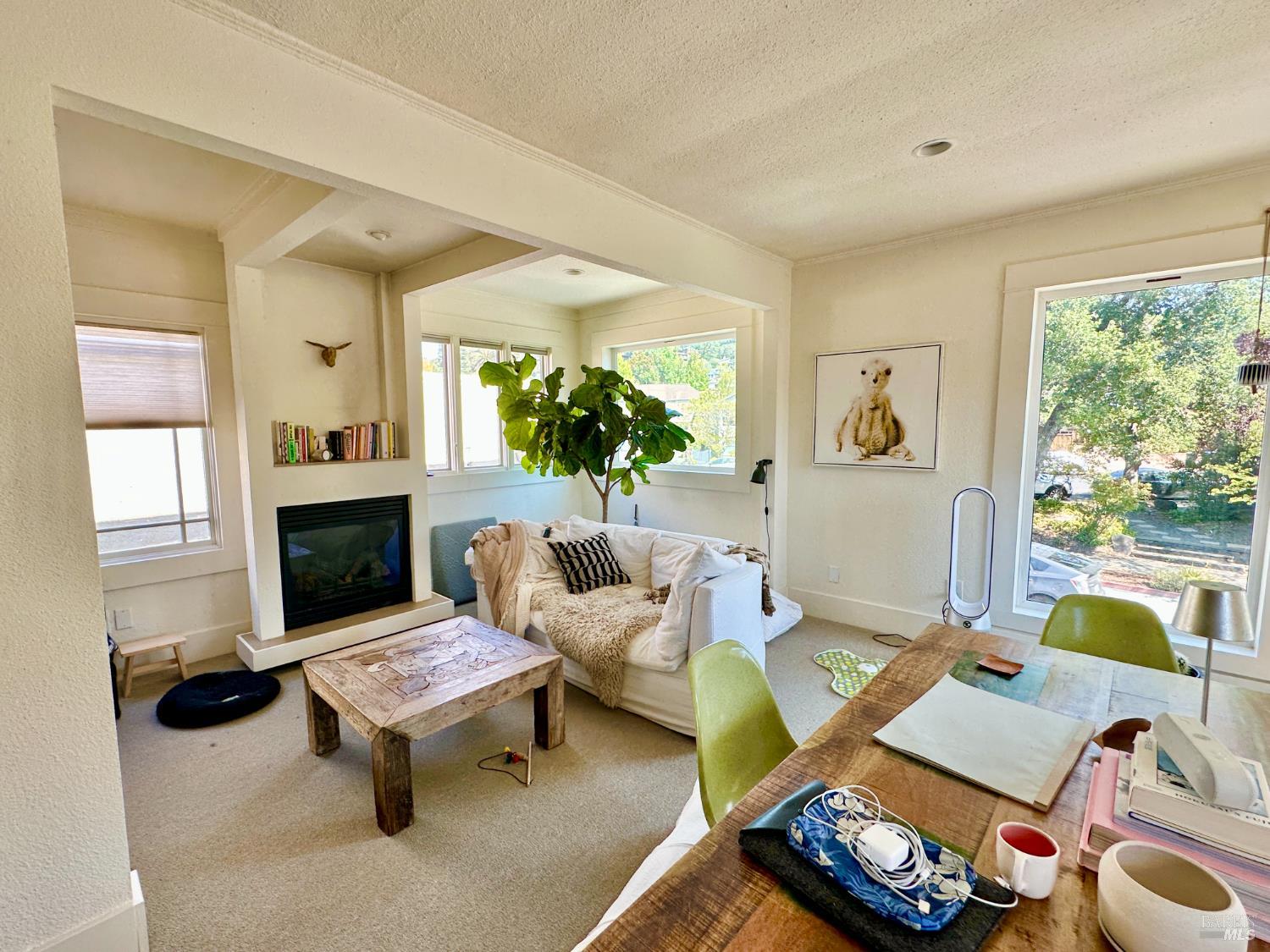 Detail Gallery Image 21 of 27 For 158 E Blithedale Ave, Mill Valley,  CA 94941 - – Beds | – Baths