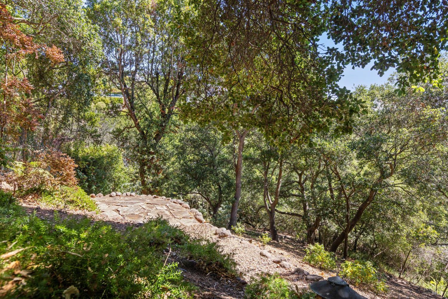 Detail Gallery Image 47 of 51 For 12 Tara View Rd, Belvedere Tiburon,  CA 94920 - 3 Beds | 2/1 Baths