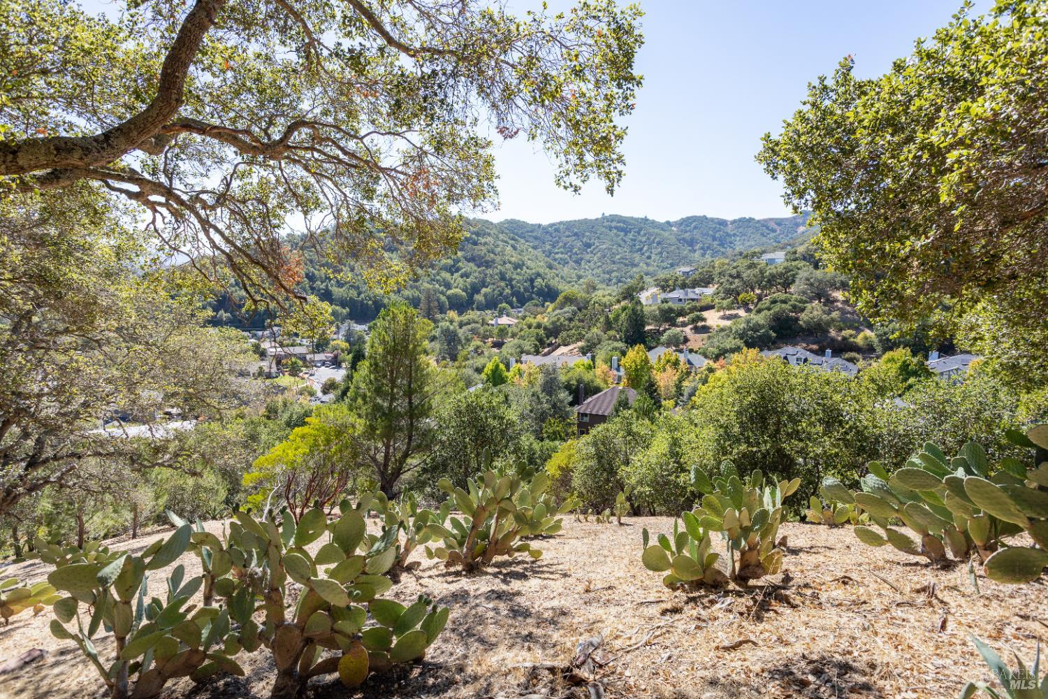 Detail Gallery Image 62 of 62 For 2901 Las Gallinas Ave, San Rafael,  CA 94903 - 4 Beds | 3/1 Baths