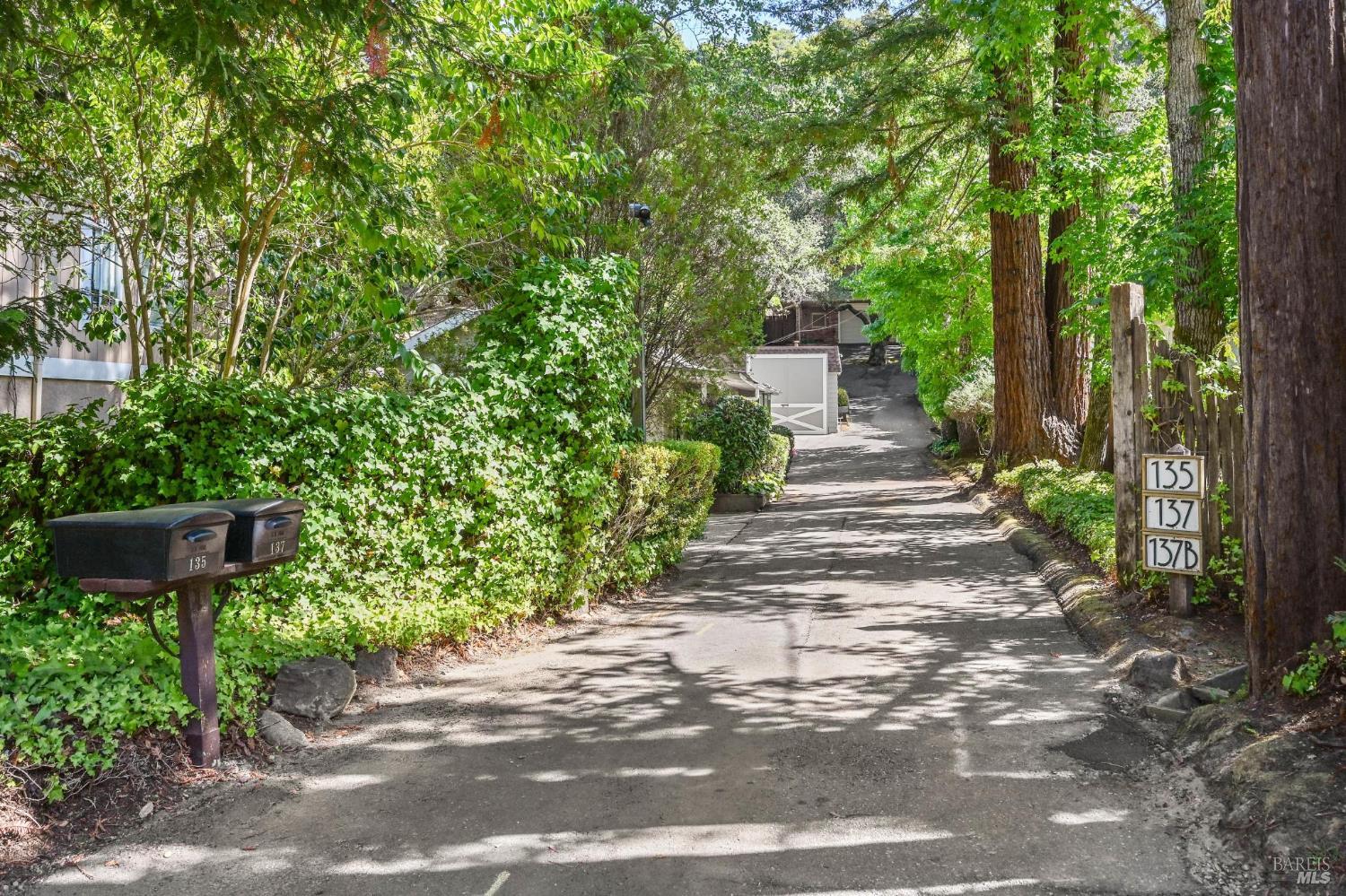 Detail Gallery Image 68 of 74 For 135 Spring Grove Ave, San Rafael,  CA 94901 - 6 Beds | 5/2 Baths