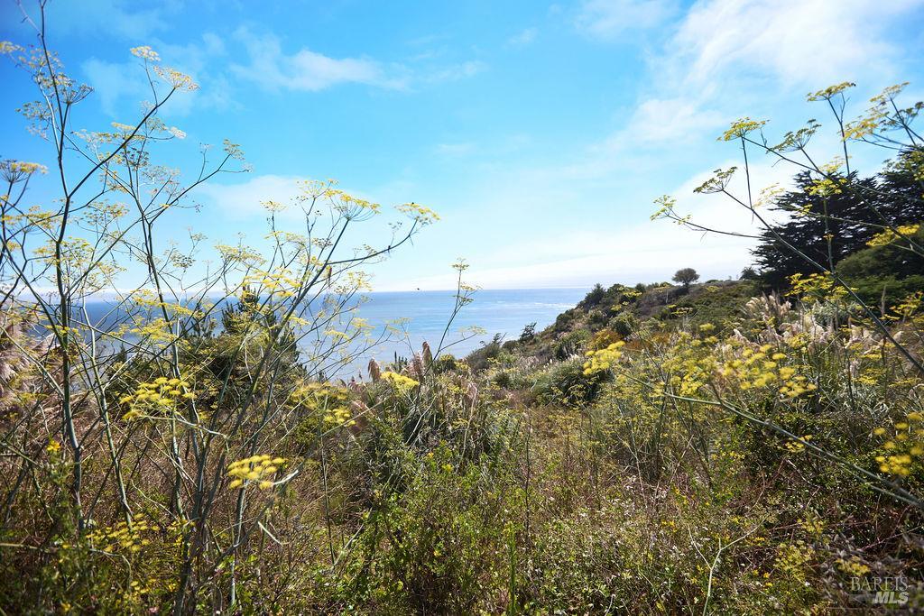 Detail Gallery Image 54 of 56 For 130 Juniper Rd, Bolinas,  CA 94924 - 2 Beds | 1/1 Baths