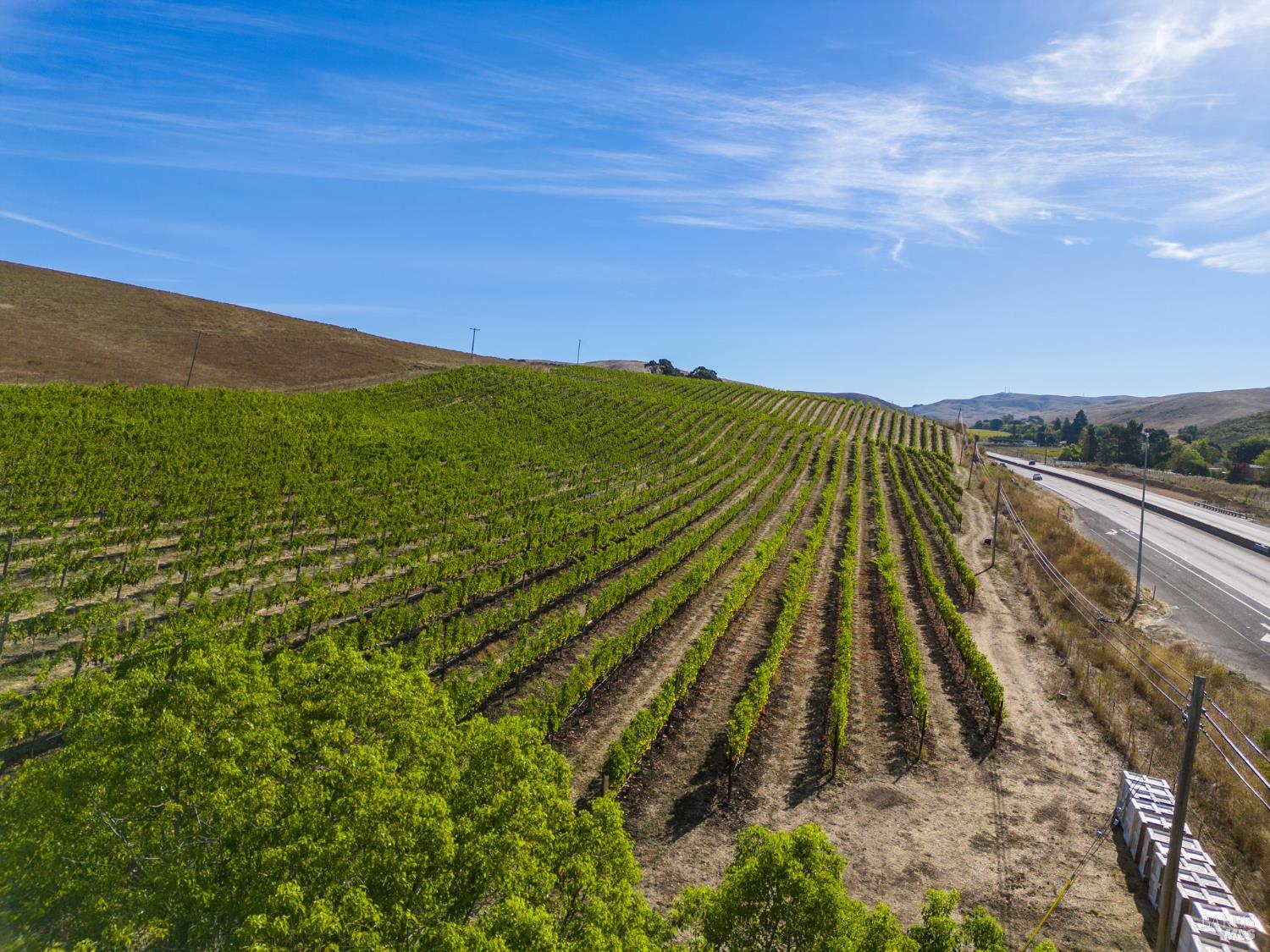 Detail Gallery Image 18 of 26 For 3800 Jameson Canyon Rd, Napa,  CA 94558 - – Beds | – Baths