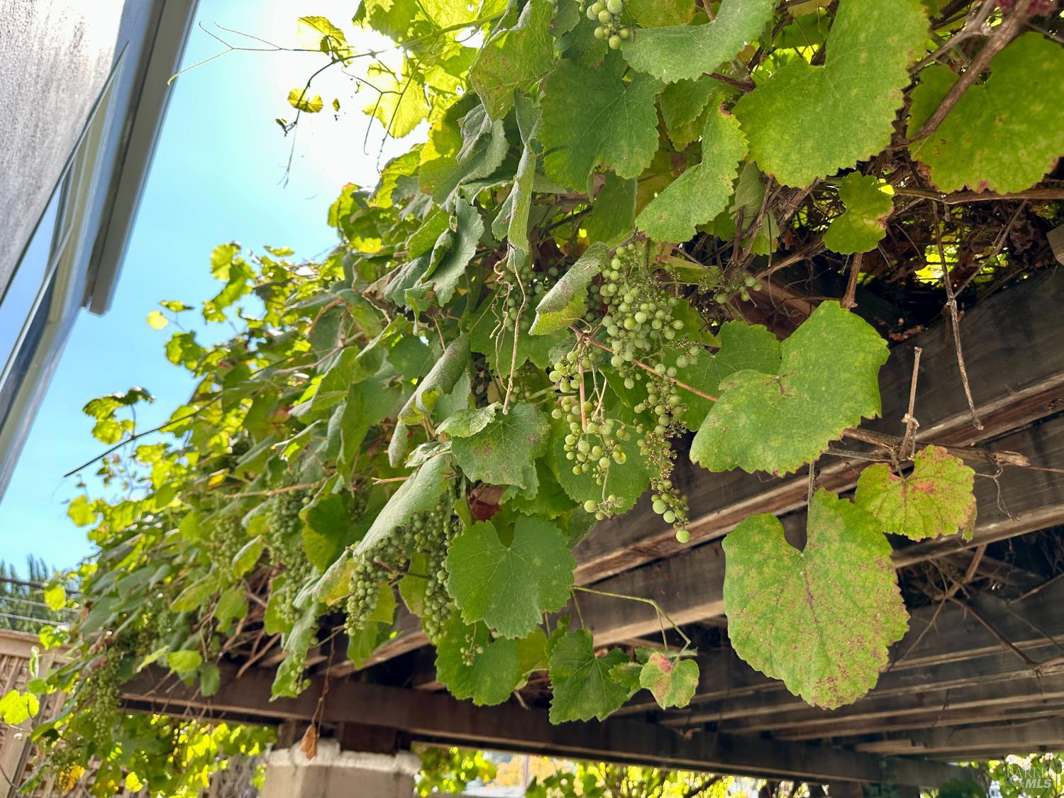 Detail Gallery Image 10 of 27 For 158 E Blithedale Ave, Mill Valley,  CA 94941 - – Beds | – Baths