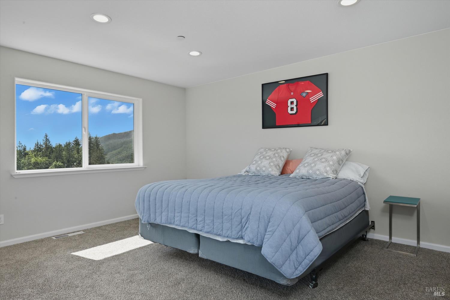 Detail Gallery Image 14 of 40 For 9781 Venturi Dr, Cobb,  CA 95426 - 4 Beds | 2/1 Baths