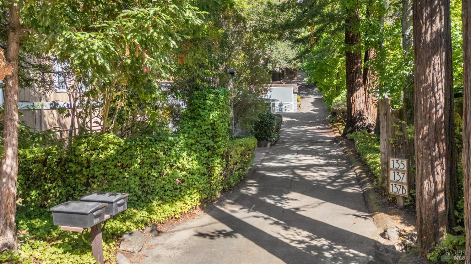 Detail Gallery Image 74 of 74 For 135 Spring Grove Ave, San Rafael,  CA 94901 - 6 Beds | 5/2 Baths