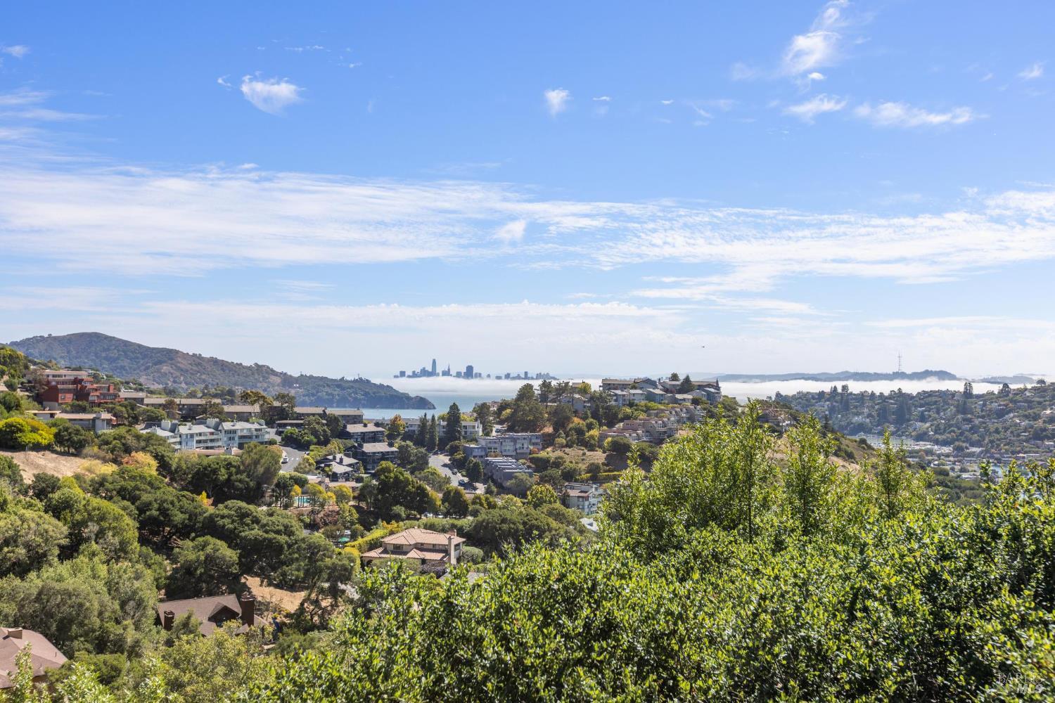 Detail Gallery Image 14 of 51 For 12 Tara View Rd, Belvedere Tiburon,  CA 94920 - 3 Beds | 2/1 Baths