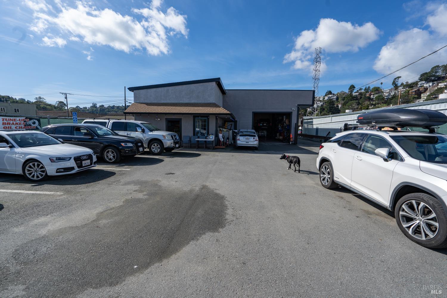 Detail Gallery Image 13 of 15 For 242 Shoreline Hwy, Mill Valley,  CA 94941 - – Beds | – Baths