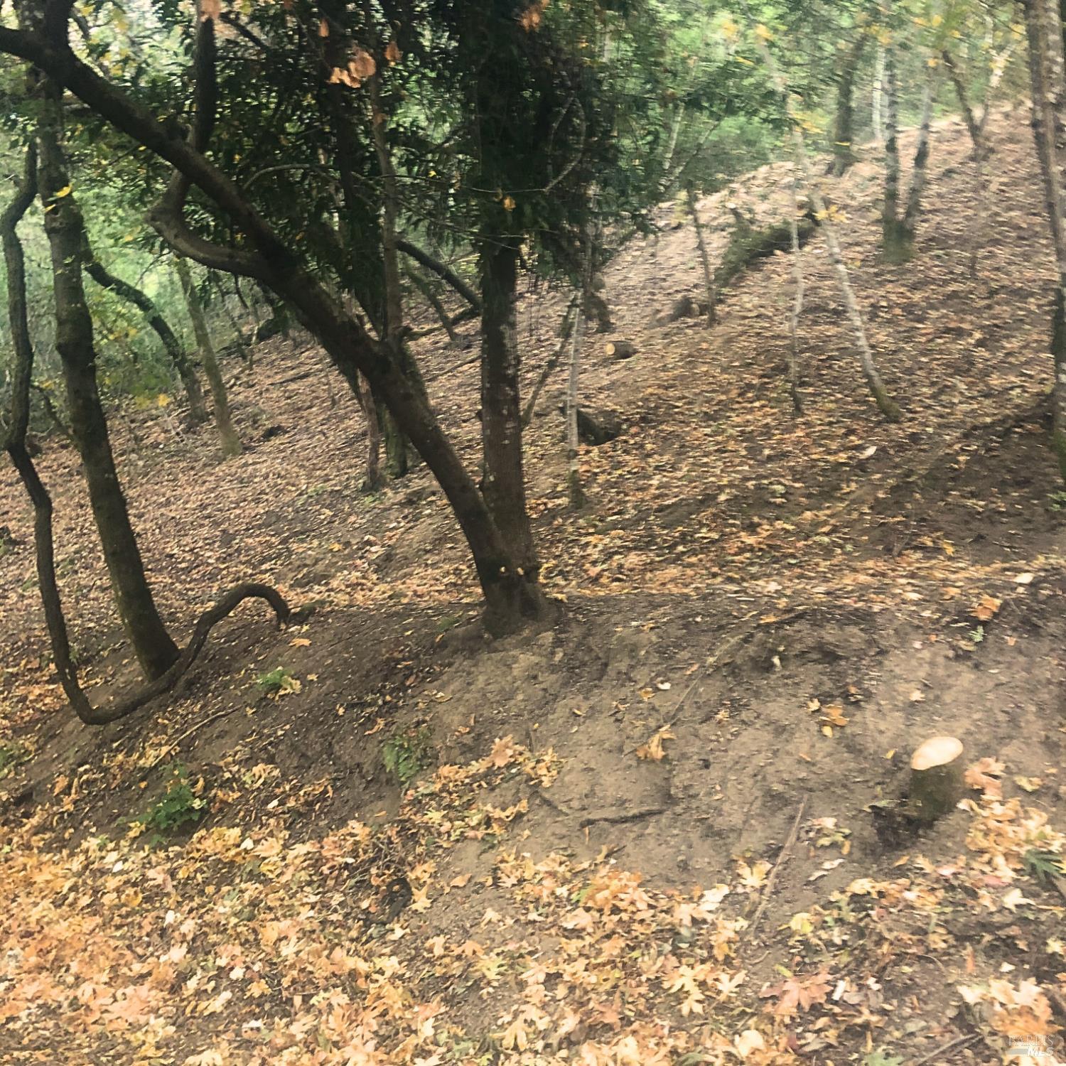 Front Image Thumbnail for BA325084727