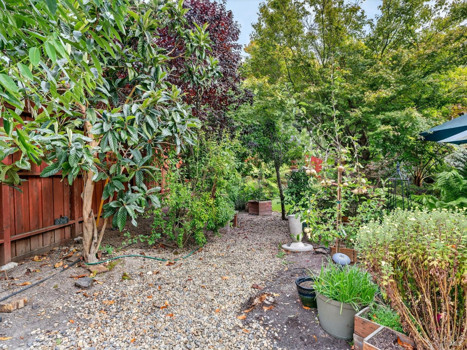 Detail Gallery Image 56 of 63 For 220 Mendelssohn Ct, Cotati,  CA 94931 - 4 Beds | 2 Baths