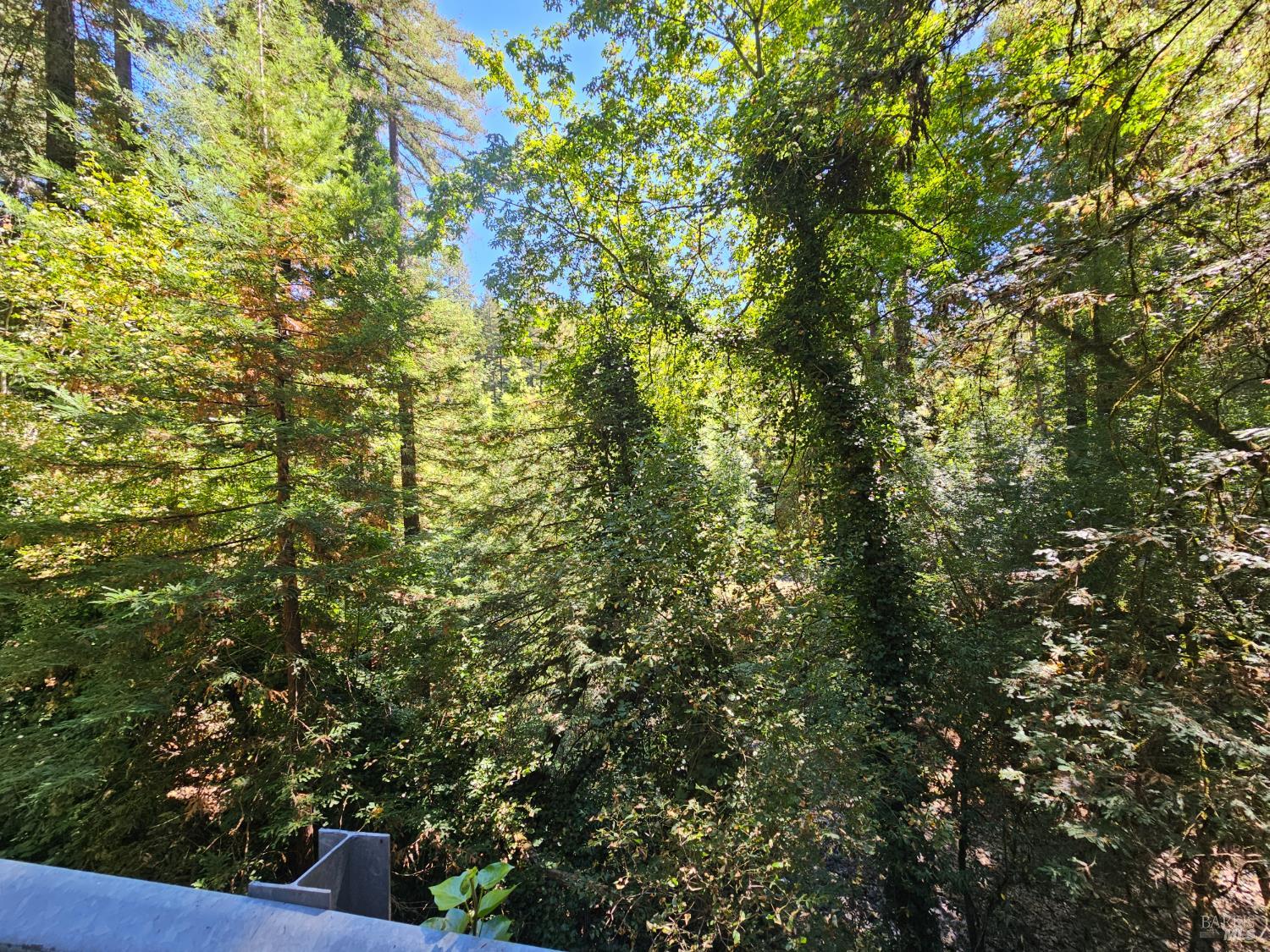 Detail Gallery Image 42 of 45 For 135 Redwood Ave, Camp Meeker,  CA 95419 - 1 Beds | 1 Baths