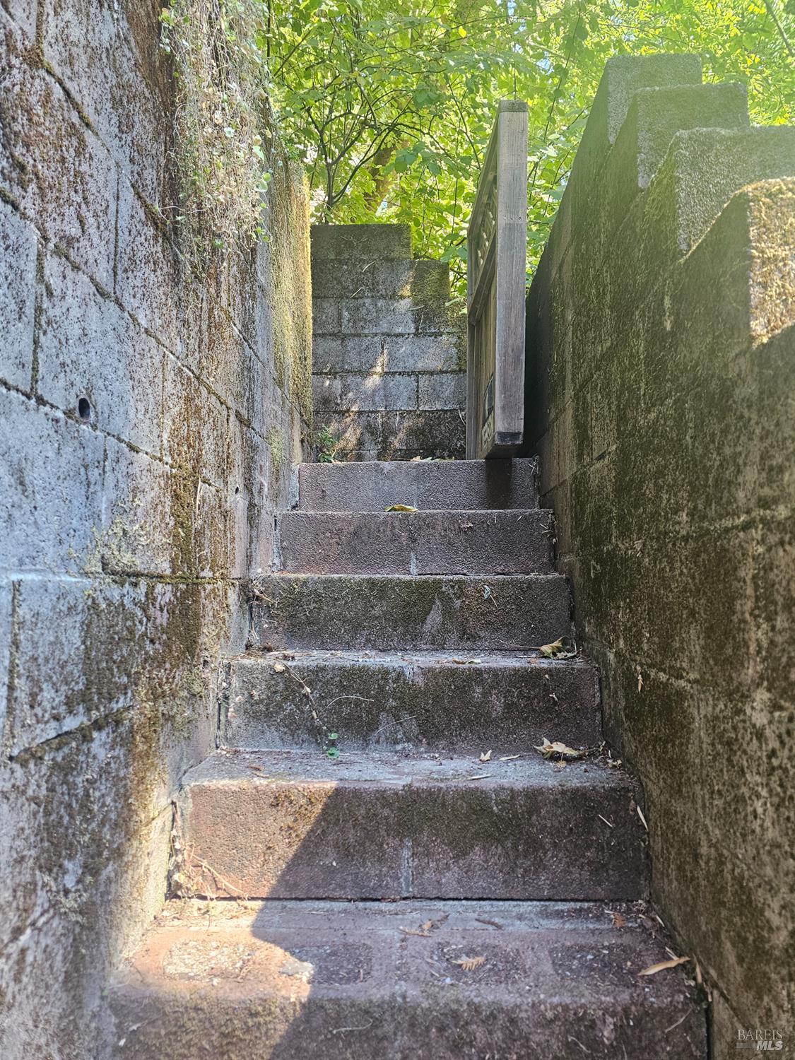 Detail Gallery Image 3 of 45 For 135 Redwood Ave, Camp Meeker,  CA 95419 - 1 Beds | 1 Baths