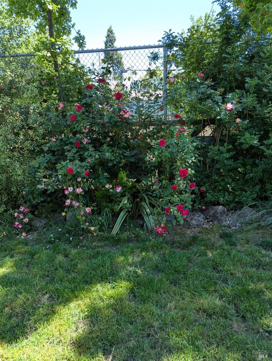 Detail Gallery Image 44 of 52 For 8743 Franklin St, Windsor,  CA 95492 - 1 Beds | 1 Baths