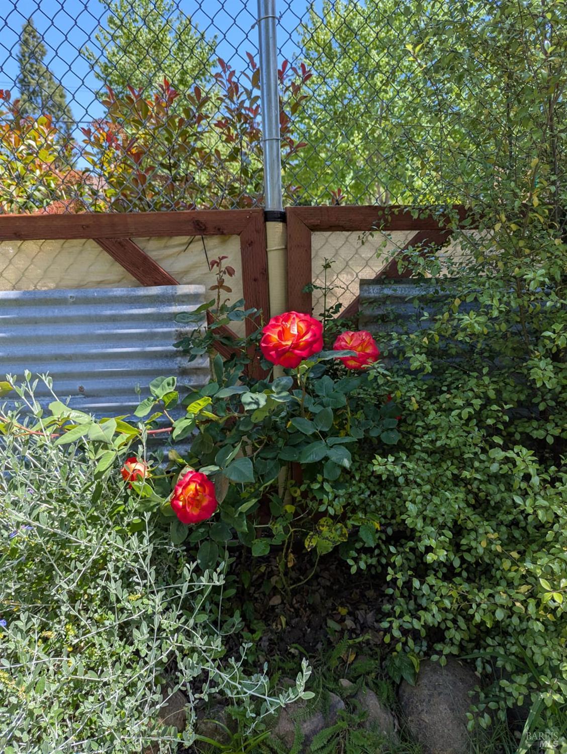 Detail Gallery Image 43 of 52 For 8743 Franklin St, Windsor,  CA 95492 - 1 Beds | 1 Baths