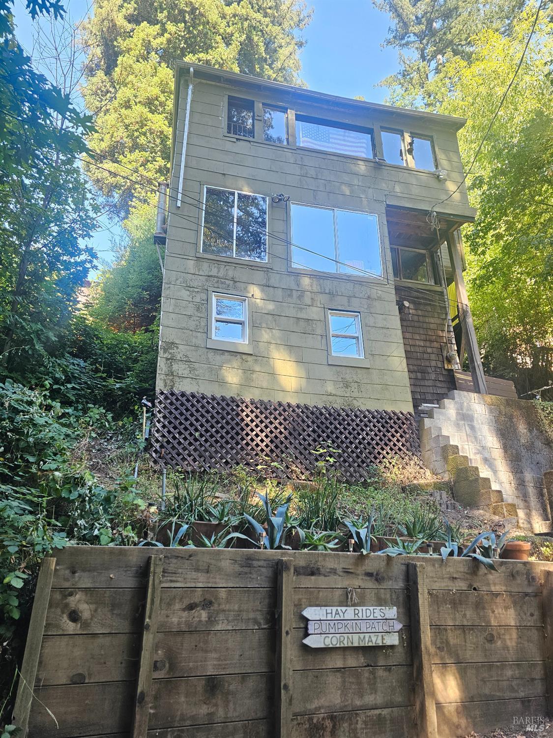 Detail Gallery Image 38 of 45 For 135 Redwood Ave, Camp Meeker,  CA 95419 - 1 Beds | 1 Baths