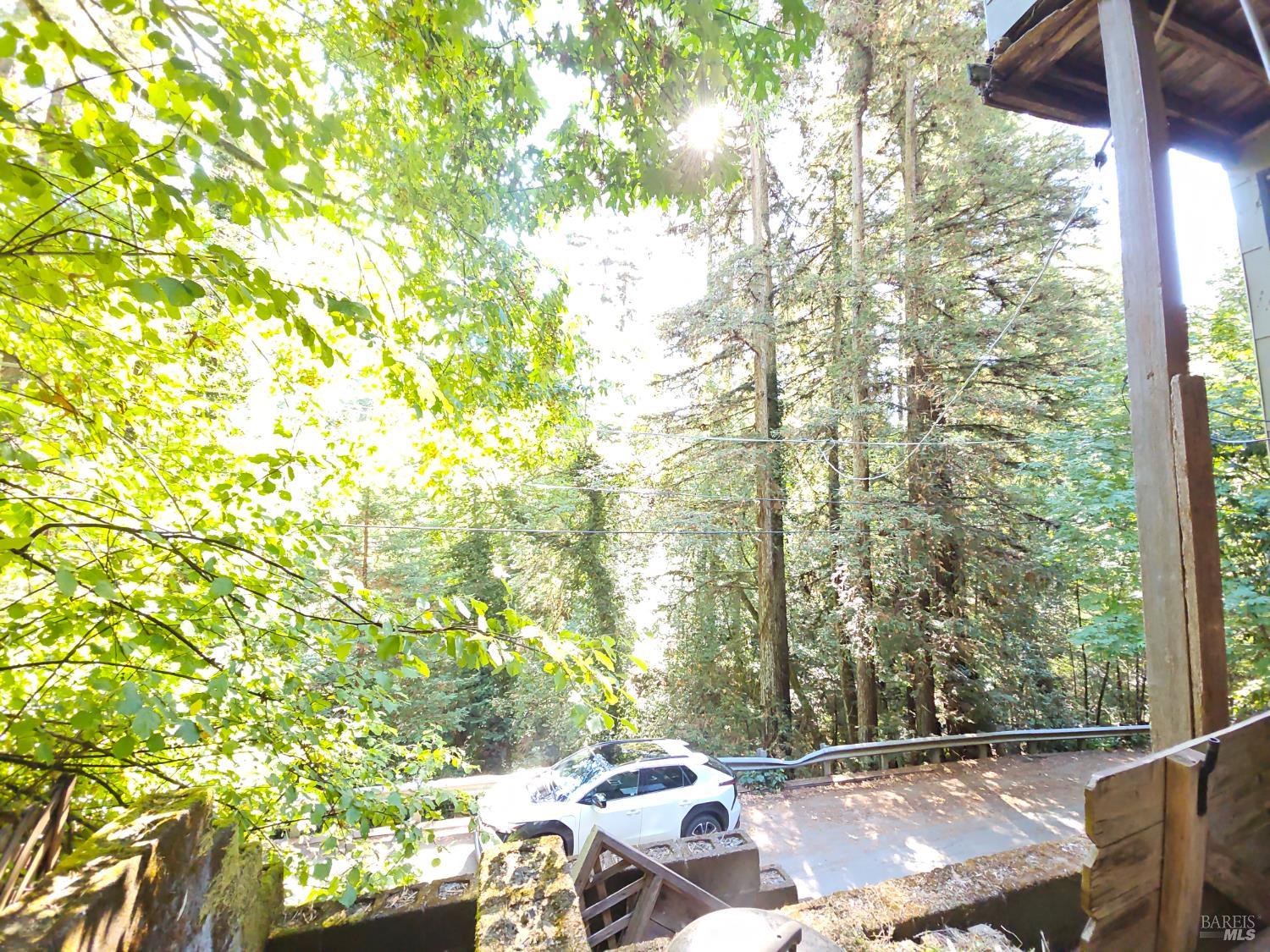 Detail Gallery Image 4 of 45 For 135 Redwood Ave, Camp Meeker,  CA 95419 - 1 Beds | 1 Baths