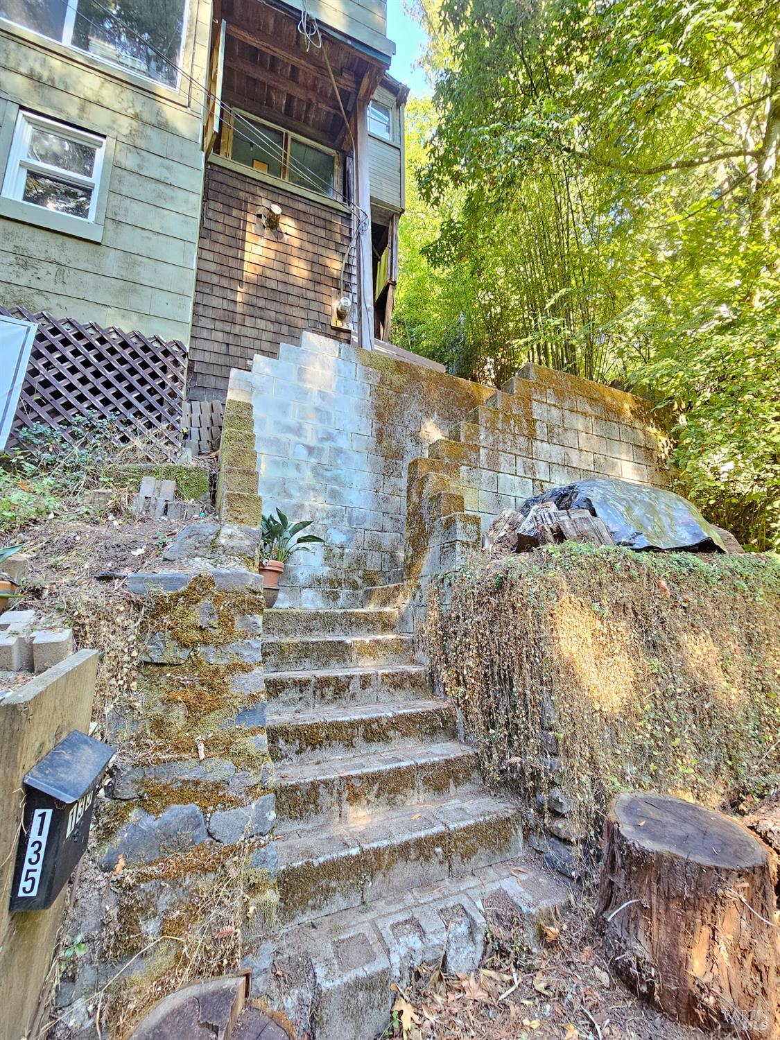 Detail Gallery Image 2 of 45 For 135 Redwood Ave, Camp Meeker,  CA 95419 - 1 Beds | 1 Baths