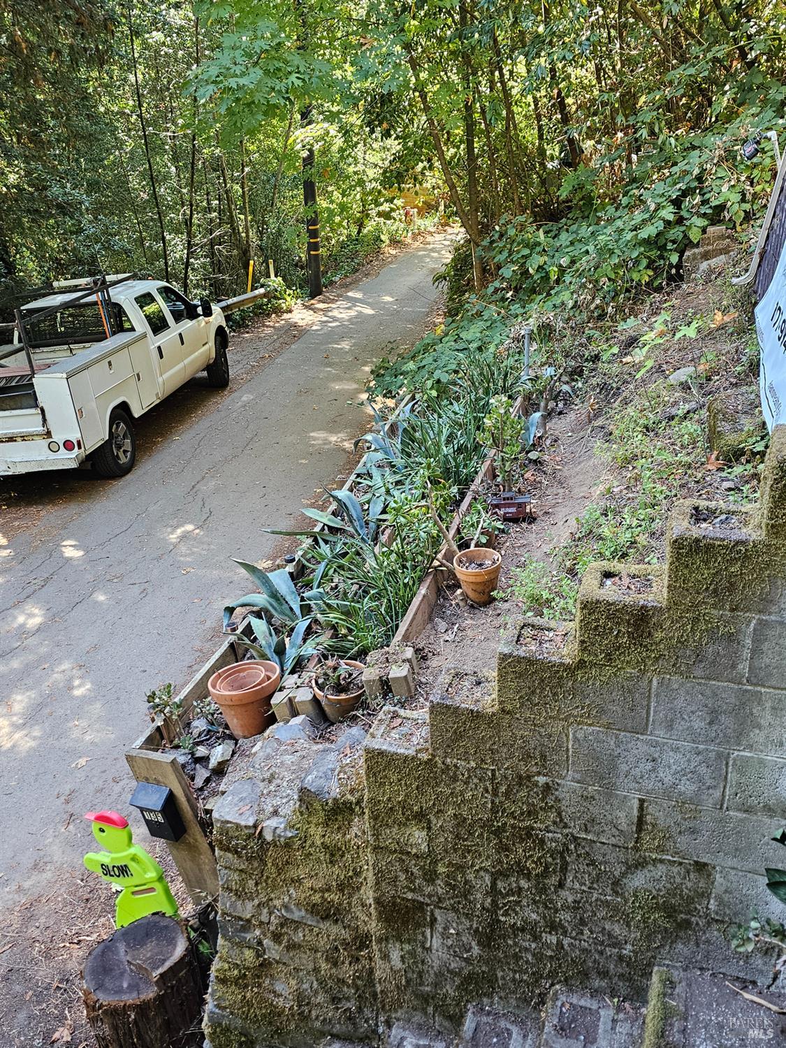 Detail Gallery Image 41 of 45 For 135 Redwood Ave, Camp Meeker,  CA 95419 - 1 Beds | 1 Baths