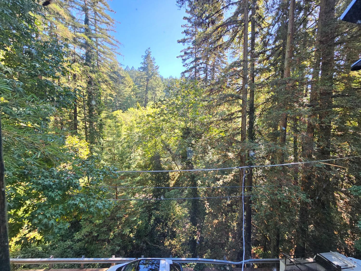 Detail Gallery Image 31 of 45 For 135 Redwood Ave, Camp Meeker,  CA 95419 - 1 Beds | 1 Baths