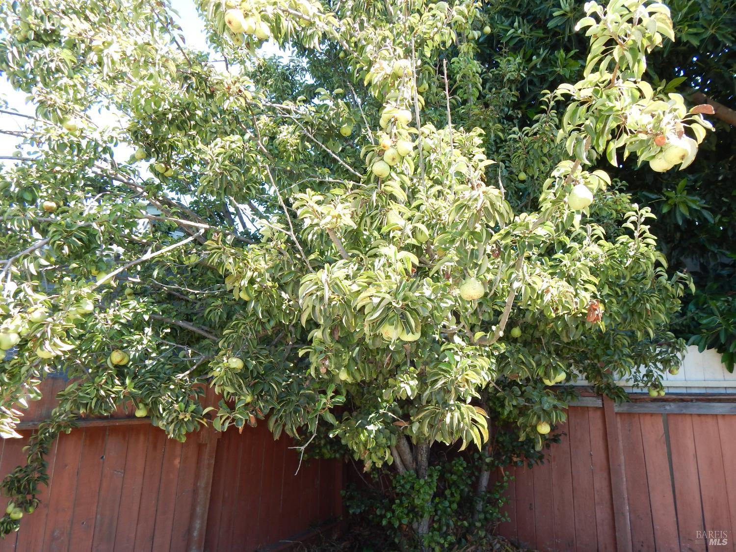 Detail Gallery Image 25 of 29 For 2854 16th St, San Pablo,  CA 94806 - 3 Beds | 1 Baths