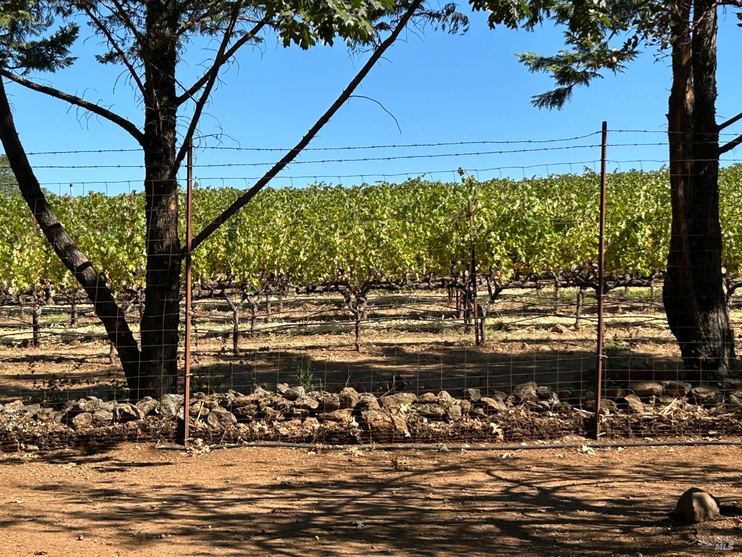 Detail Gallery Image 6 of 30 For 271 White Cottage Rd, Angwin,  CA 94508 - 4 Beds | 2 Baths