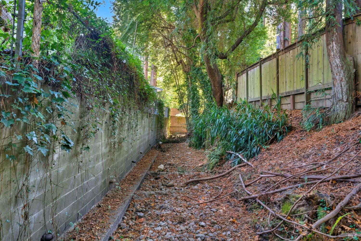 Detail Gallery Image 41 of 60 For 39 Bridge Rd, Larkspur,  CA 94939 - 2 Beds | 1/1 Baths