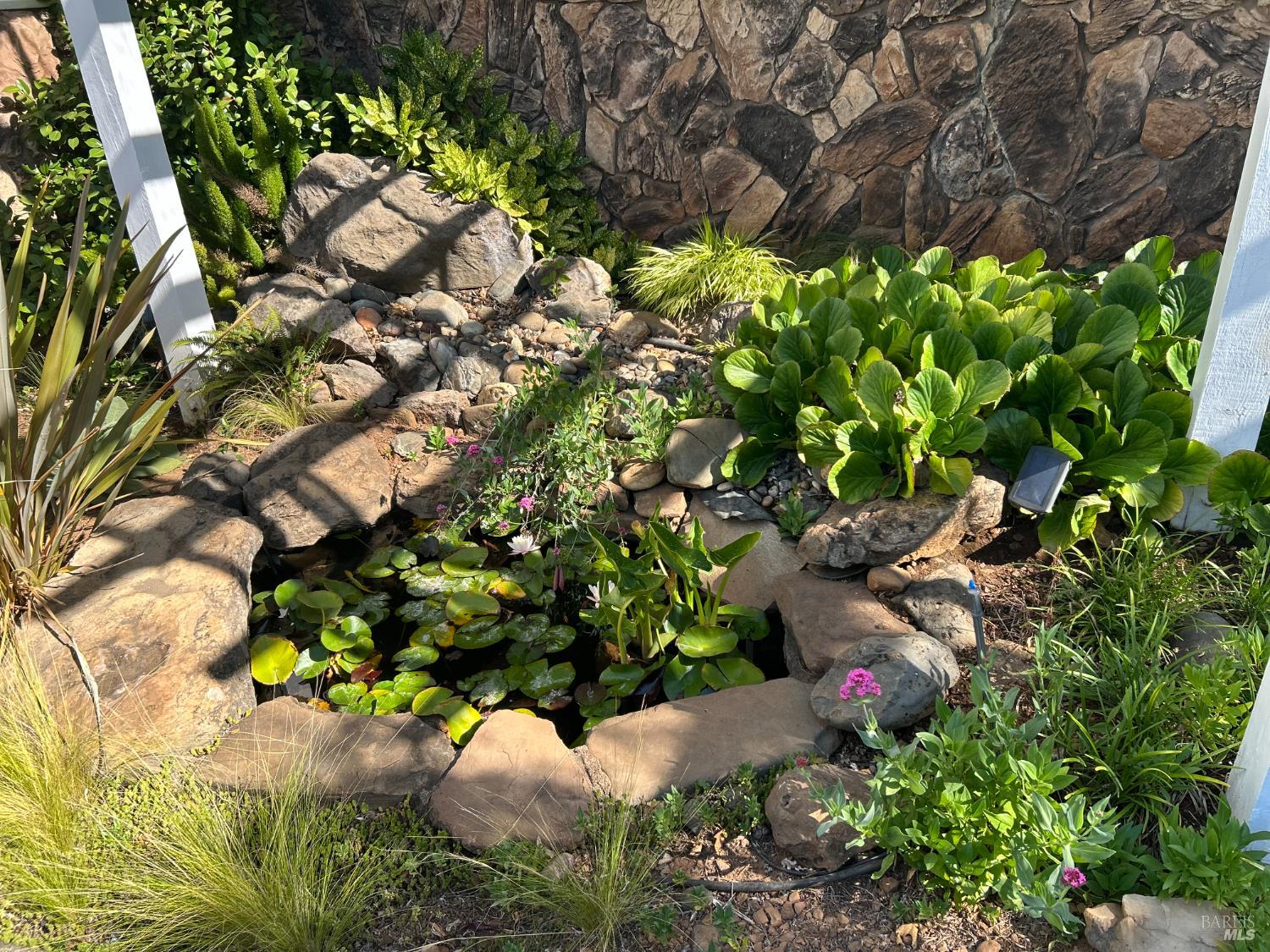 Detail Gallery Image 21 of 30 For 271 White Cottage Rd, Angwin,  CA 94508 - 4 Beds | 2 Baths