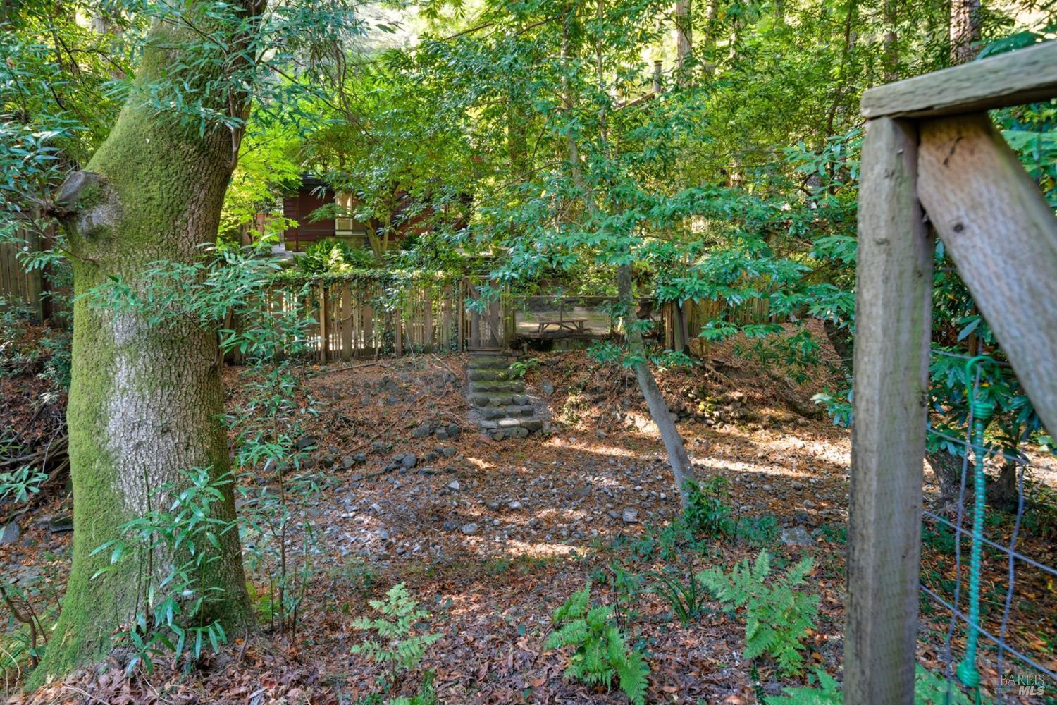 Detail Gallery Image 36 of 60 For 39 Bridge Rd, Larkspur,  CA 94939 - 2 Beds | 1/1 Baths