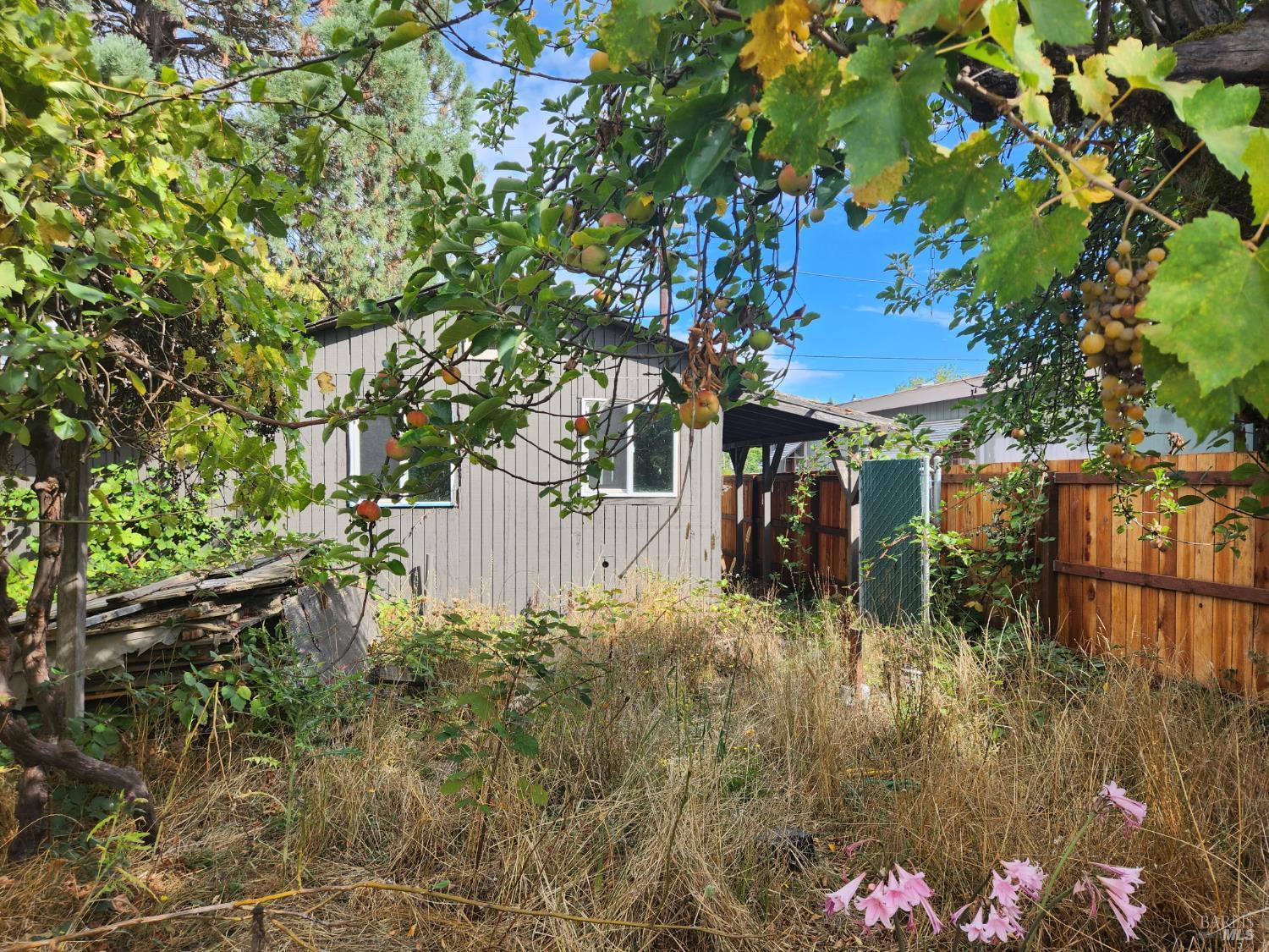 Detail Gallery Image 15 of 29 For 481 Della Ave, Willits,  CA 95490 - 2 Beds | 1 Baths