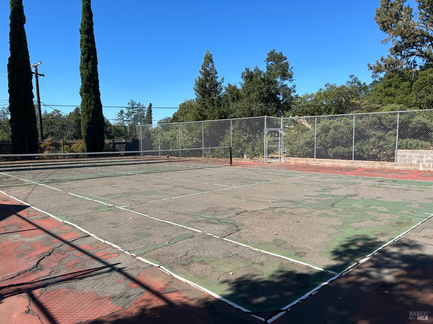 Detail Gallery Image 16 of 30 For 271 White Cottage Rd, Angwin,  CA 94508 - 4 Beds | 2 Baths