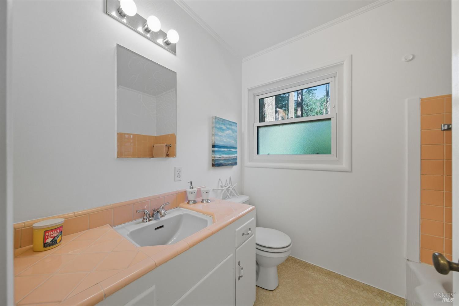 Detail Gallery Image 19 of 60 For 39 Bridge Rd, Larkspur,  CA 94939 - 2 Beds | 1/1 Baths