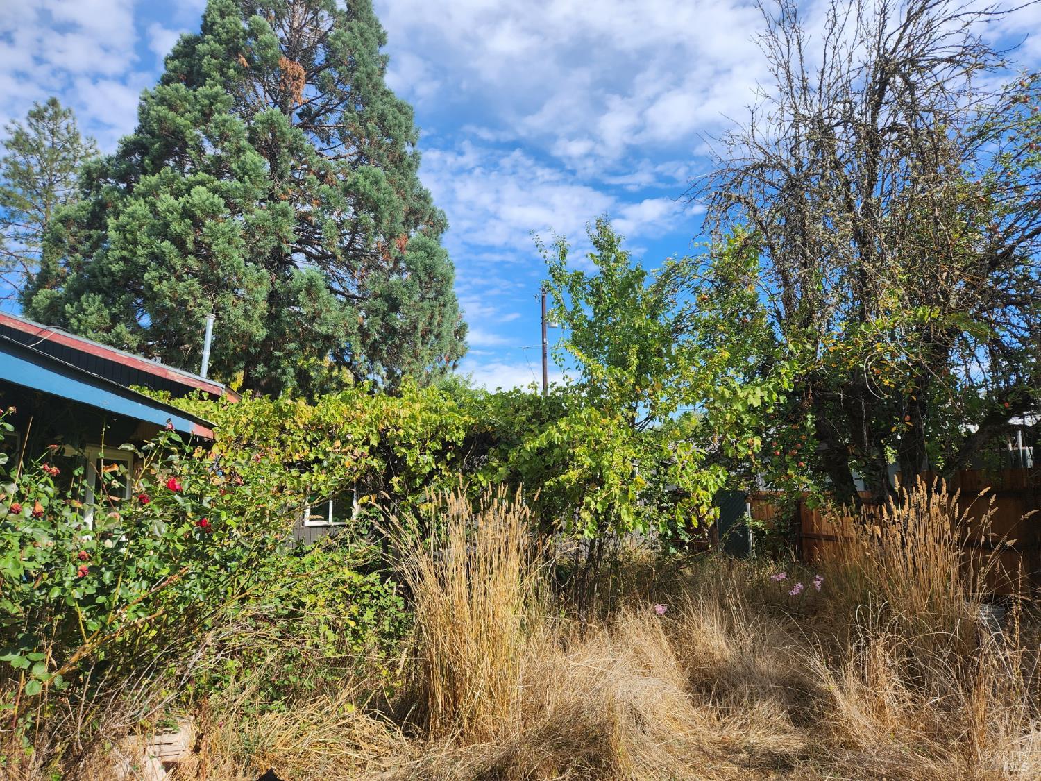 Detail Gallery Image 16 of 29 For 481 Della Ave, Willits,  CA 95490 - 2 Beds | 1 Baths