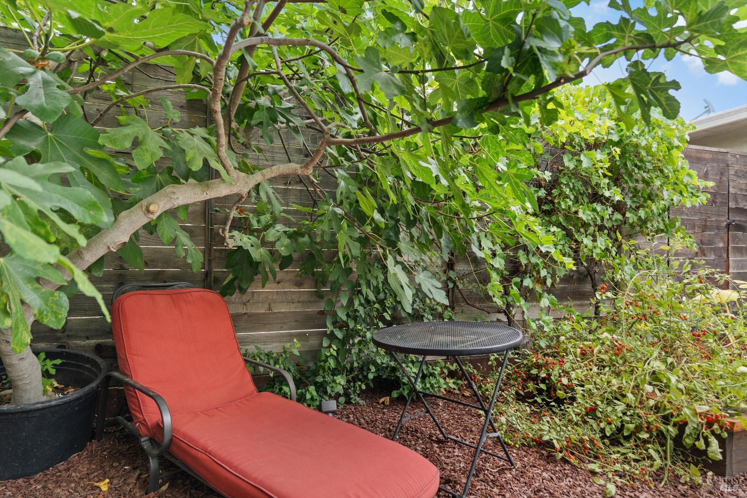 Detail Gallery Image 13 of 20 For 1245 Olive St, Santa Rosa,  CA 95407 - 2 Beds | 1 Baths