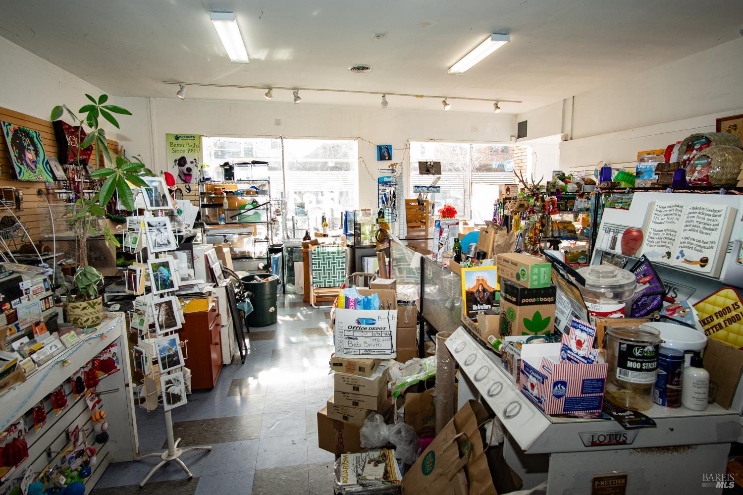 Detail Gallery Image 13 of 15 For 1566 4th St, San Rafael,  CA 94901 - – Beds | – Baths