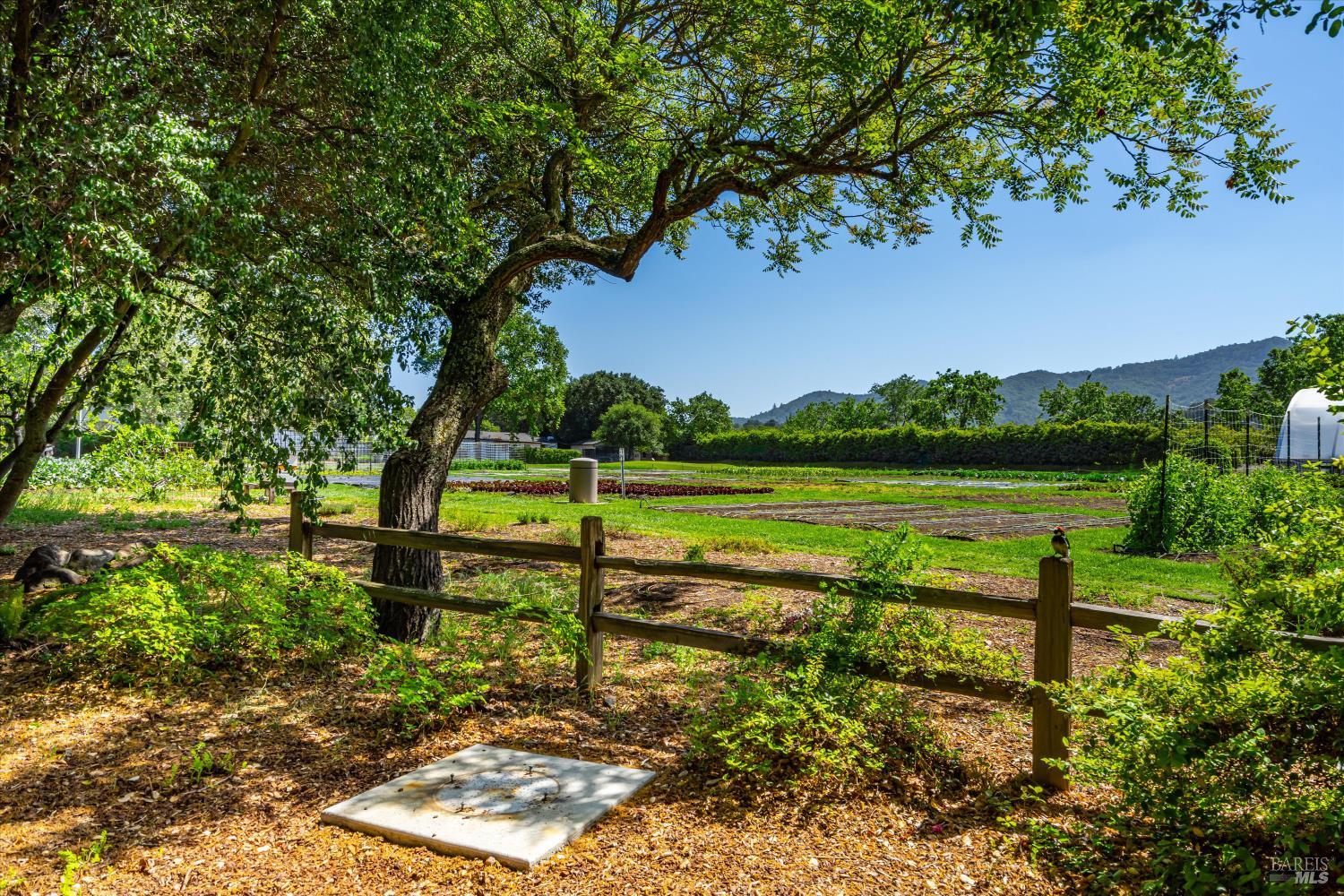 Detail Gallery Image 73 of 81 For 1251 Garden Ave, Saint Helena,  CA 94574 - 3 Beds | 2 Baths