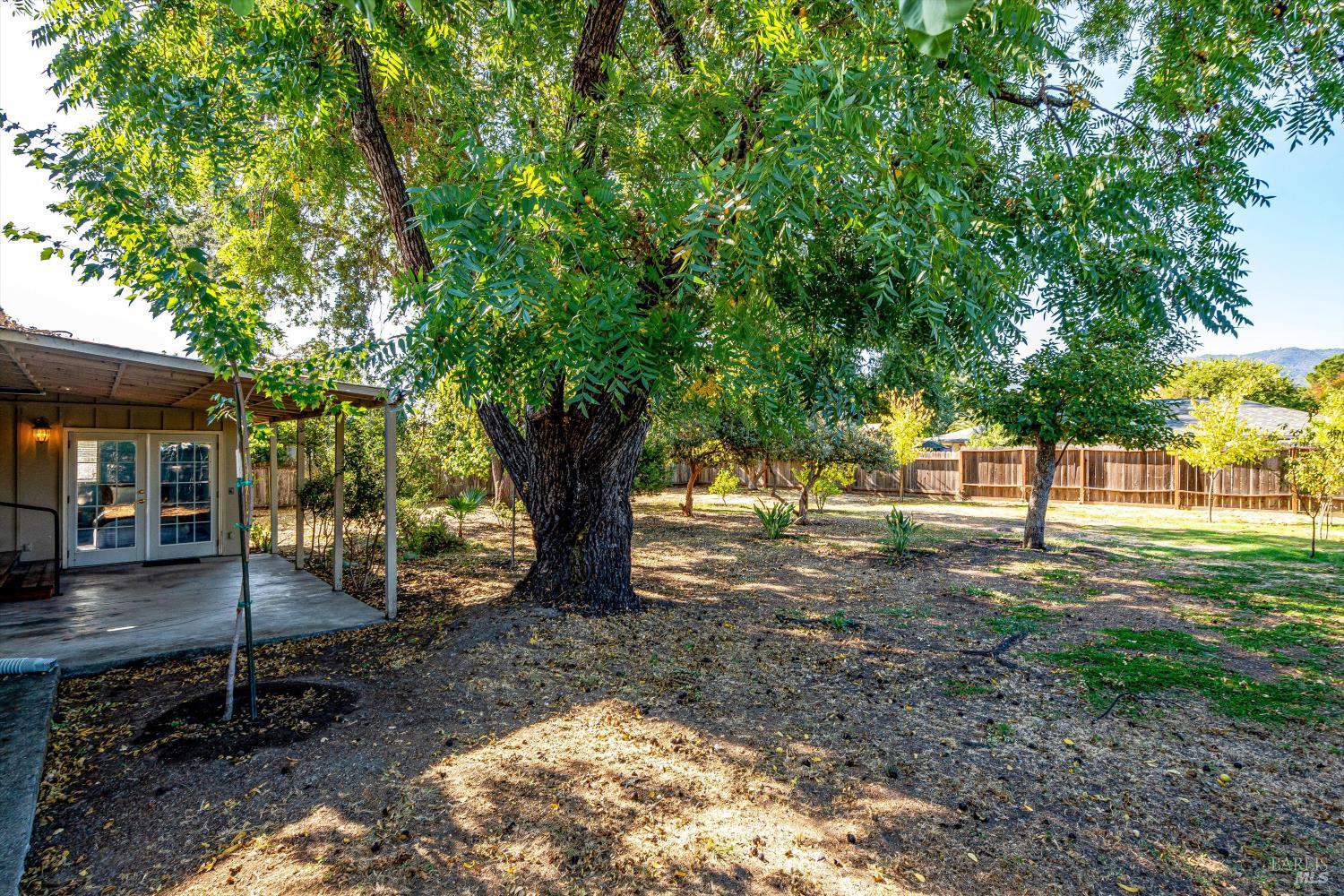 Detail Gallery Image 42 of 81 For 1251 Garden Ave, Saint Helena,  CA 94574 - 3 Beds | 2 Baths