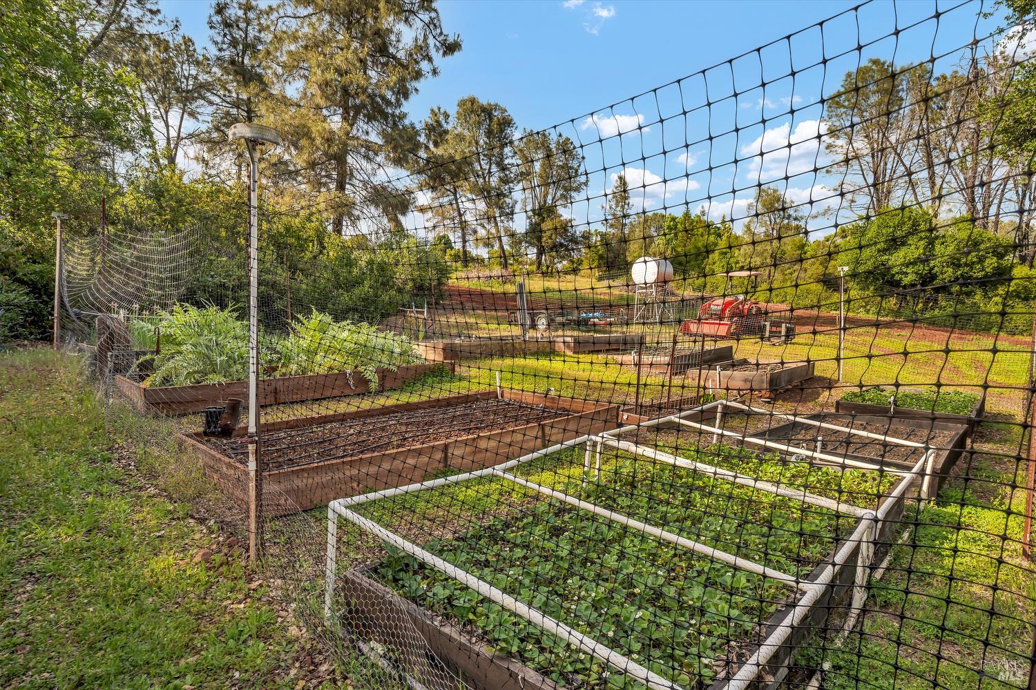 Detail Gallery Image 46 of 59 For 15625 June Bug Rd, Lower Lake,  CA 95457 - 4 Beds | 3/1 Baths