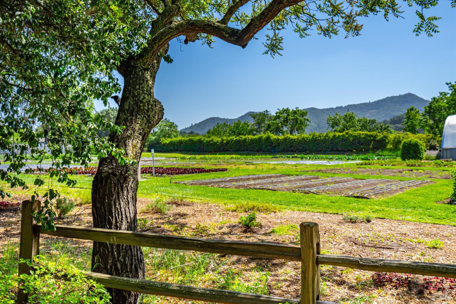 Detail Gallery Image 74 of 81 For 1251 Garden Ave, Saint Helena,  CA 94574 - 3 Beds | 2 Baths