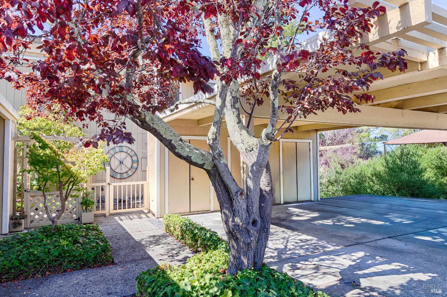 Detail Gallery Image 37 of 48 For 2 Fielding Cir, Mill Valley,  CA 94941 - 3 Beds | 2/1 Baths