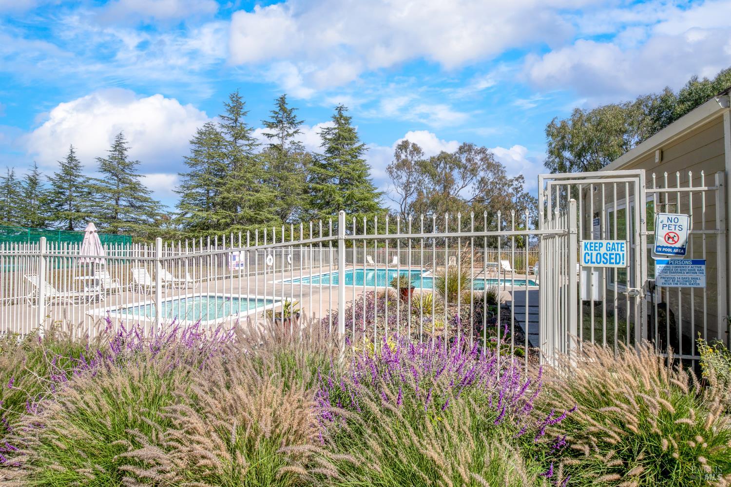 Detail Gallery Image 41 of 48 For 2 Fielding Cir, Mill Valley,  CA 94941 - 3 Beds | 2/1 Baths