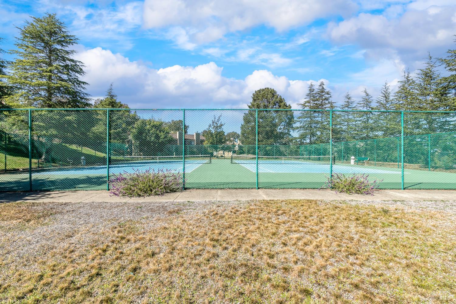 Detail Gallery Image 43 of 48 For 2 Fielding Cir, Mill Valley,  CA 94941 - 3 Beds | 2/1 Baths