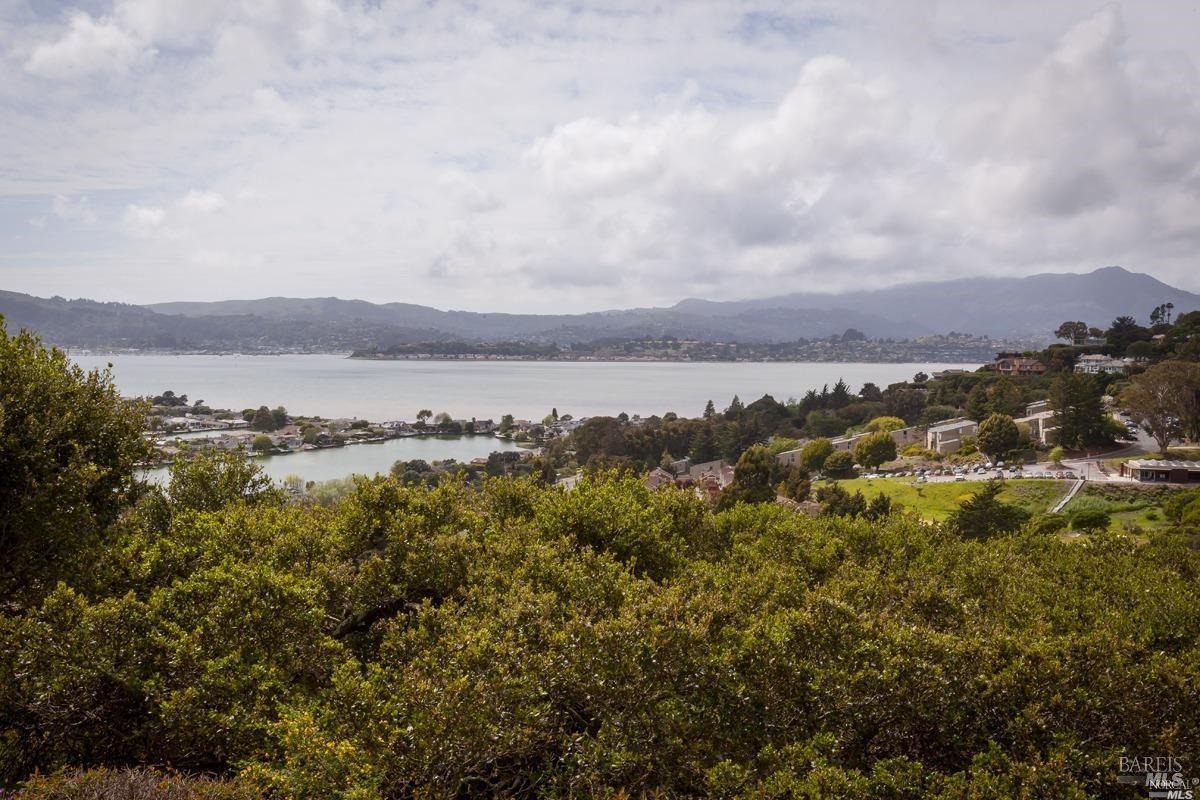 Detail Gallery Image 13 of 13 For 24 Red Hill Cir, Tiburon,  CA 94920 - 2 Beds | 2 Baths