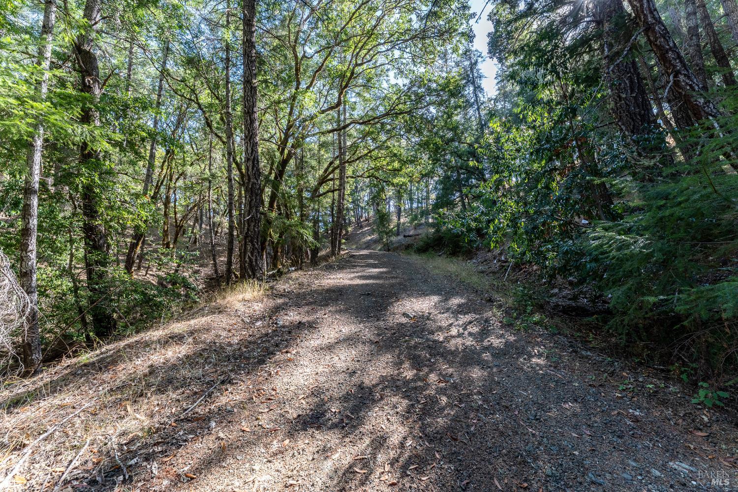 Detail Gallery Image 52 of 53 For 4070 Williams Ranch Rd, Willits,  CA 95490 - 2 Beds | 2 Baths