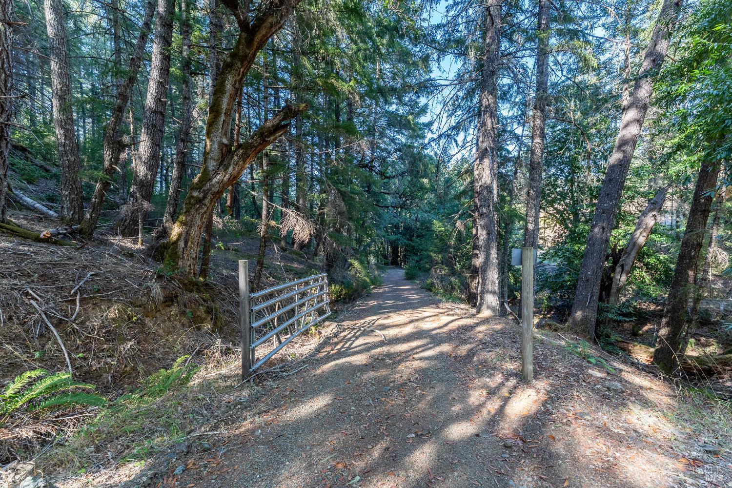 Detail Gallery Image 51 of 53 For 4070 Williams Ranch Rd, Willits,  CA 95490 - 2 Beds | 2 Baths