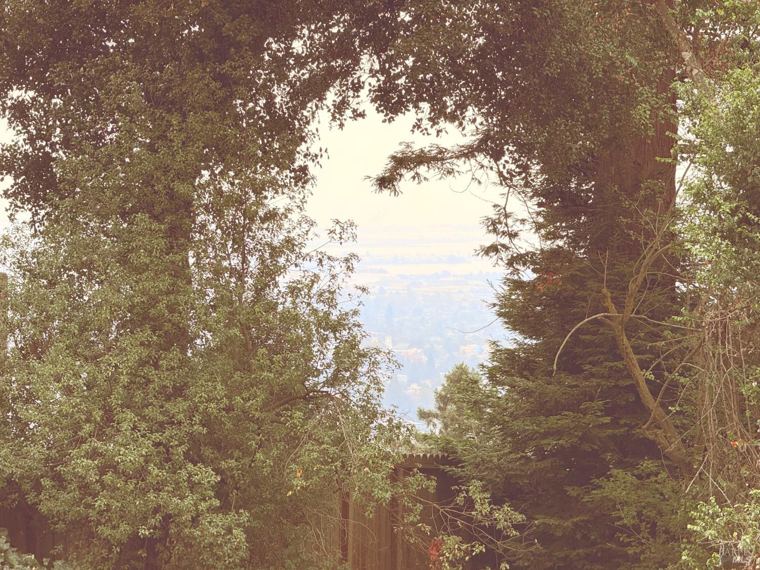 Detail Gallery Image 19 of 20 For 1106 Cragmont Ave, Berkeley,  CA 94708 - 2 Beds | 1 Baths