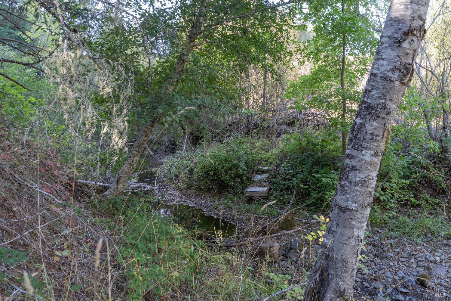 Detail Gallery Image 41 of 53 For 4070 Williams Ranch Rd, Willits,  CA 95490 - 2 Beds | 2 Baths