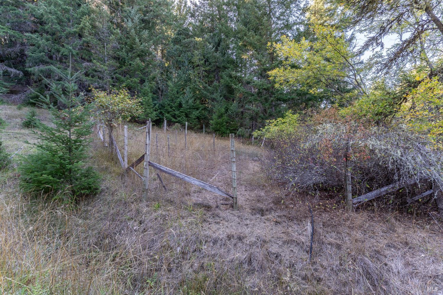 Detail Gallery Image 42 of 53 For 4070 Williams Ranch Rd, Willits,  CA 95490 - 2 Beds | 2 Baths