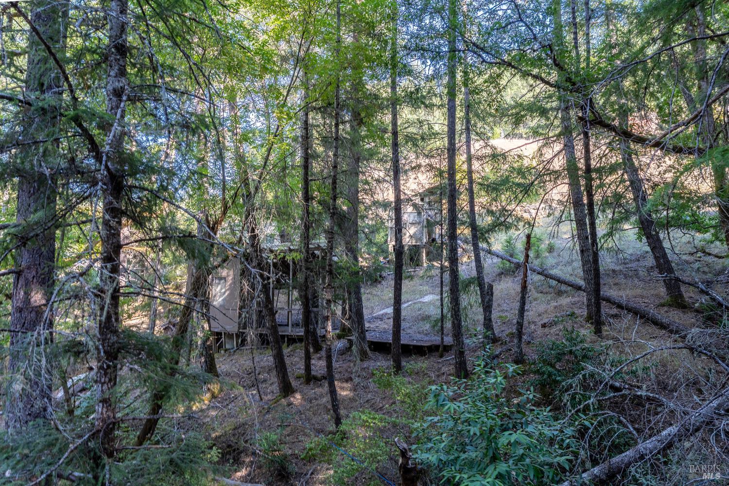 Detail Gallery Image 48 of 53 For 4070 Williams Ranch Rd, Willits,  CA 95490 - 2 Beds | 2 Baths