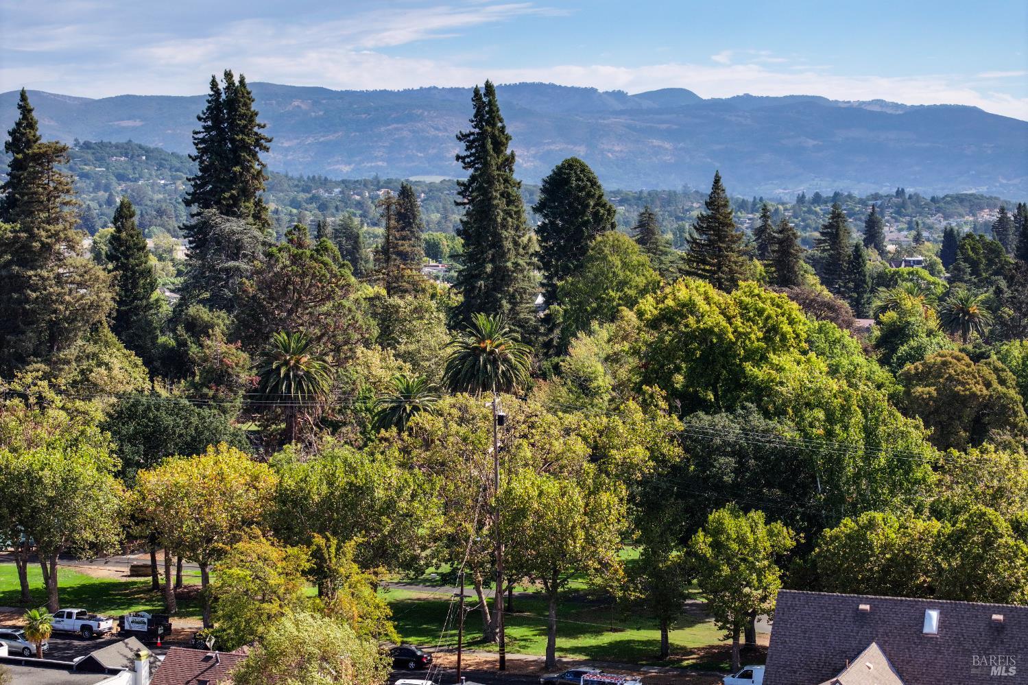 Detail Gallery Image 17 of 62 For 505 Madison St, Napa,  CA 94559 - 3 Beds | 2 Baths