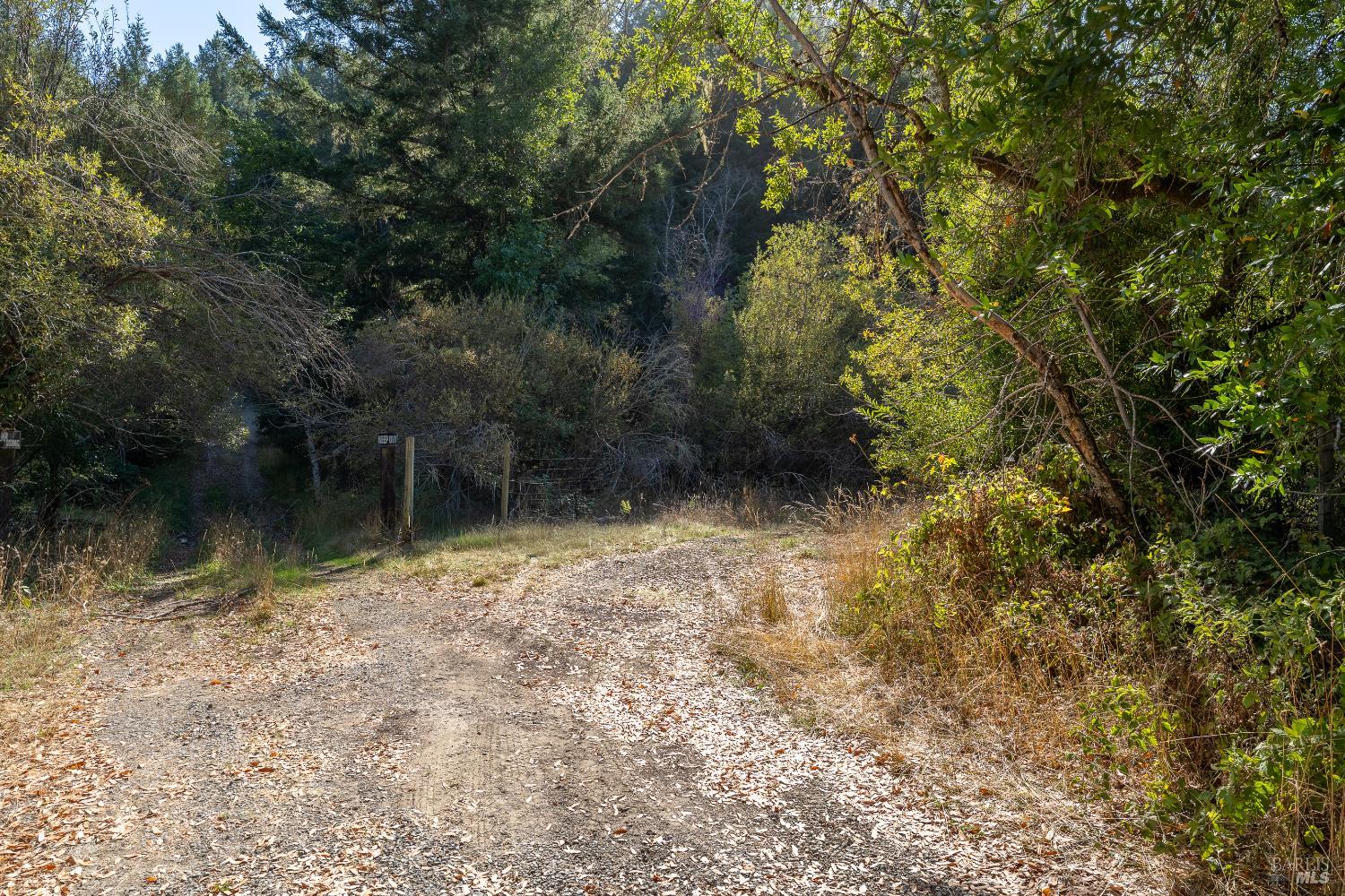 Detail Gallery Image 43 of 53 For 4070 Williams Ranch Rd, Willits,  CA 95490 - 2 Beds | 2 Baths